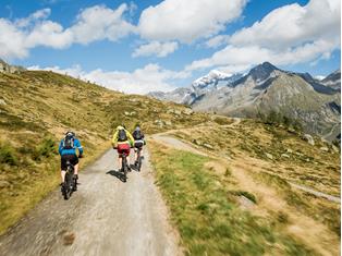 Bicicletta & Mountain bike