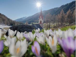 fruehling-ahrntal-valle-aurina-tv-ahrntal-filippo-galluzzi
