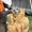 image00079
