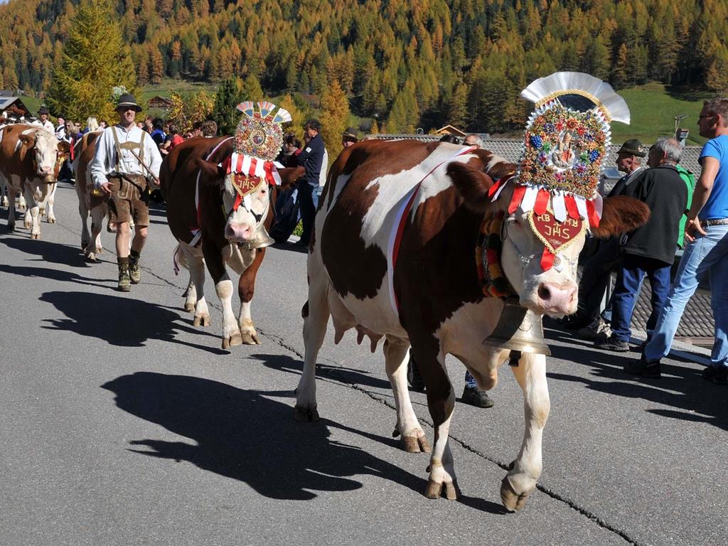 Almabtrieb mit Herbstfest in Rein in Taufers, Sand in Taufers - Südtirol