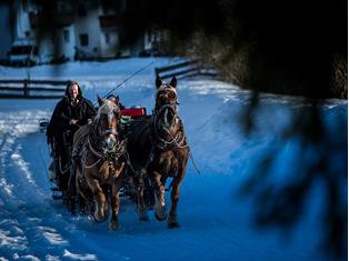 Reiten & Pferdeschlittenfahrten