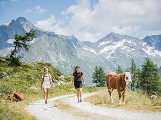 2022mindfulmountaindays_wandere-achtsam
