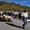 almabtrieb-rein-c-tv-sand-m-steger-23