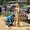 image00014