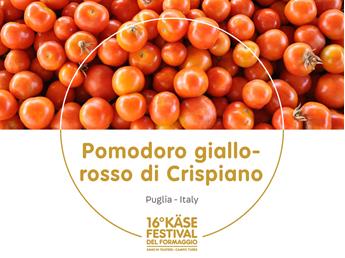 presidi-1920-x-1440px41