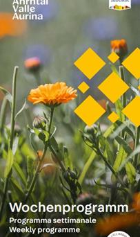 wochenprogramm-sommer-2025
