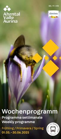 guest-pass-fruehling