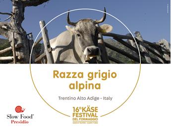 presidi-1920-x-1440px2