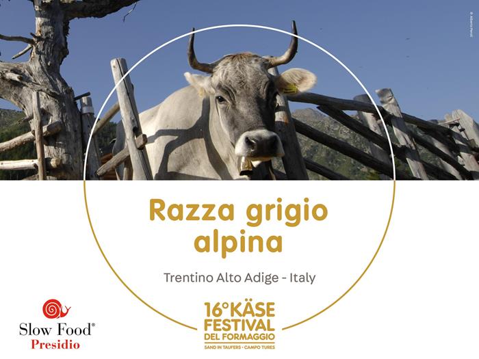 presidi-1920-x-1440px2