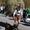 almabtrieb-rein-c-tv-sand-m-steger-16