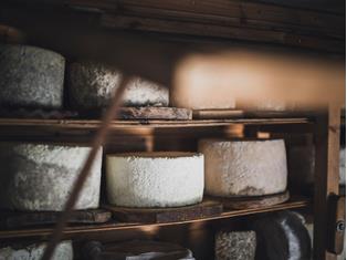 The Ahrntal valley and its Cheese
