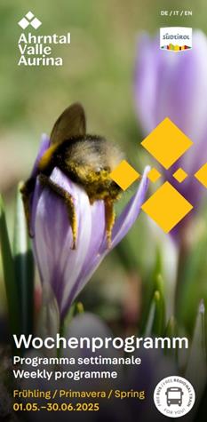 guest-pass-fruehling