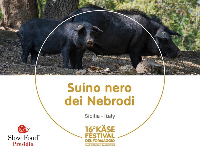 presidi-1920-x-1440px14