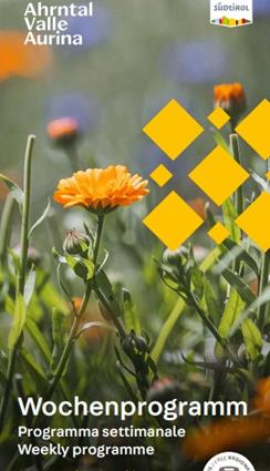 wochenprogramm-sommer-2025