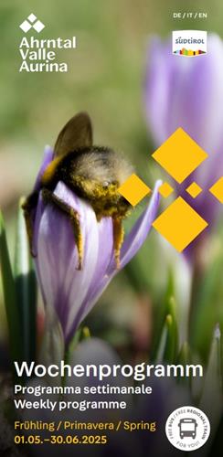 guest-pass-fruehling