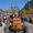 almabtrieb-rein-c-tv-sand-m-steger-20