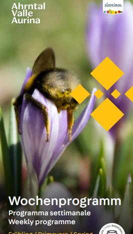 guest-pass-fruehling