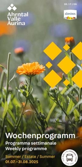 wochenprogramm-sommer-2025