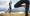 080-tvsandintaufers-c-kottersteger-220904-k1030988