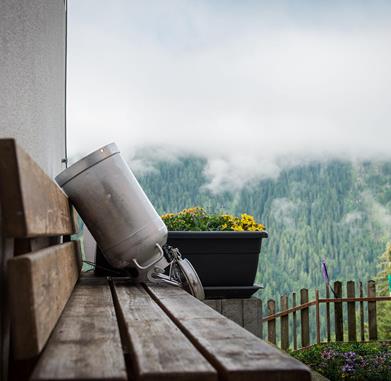 -www-wisthaler-com-13-07-graukaese-haw-8433