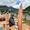 image00066