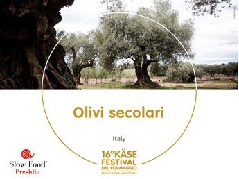 presidi-1920-x-1440px18