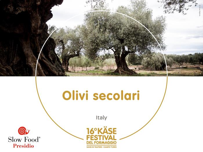 presidi-1920-x-1440px18