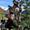 almabtrieb-rein-c-tv-sand-m-steger-22