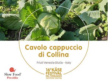 presidi-1920-x-1440px6