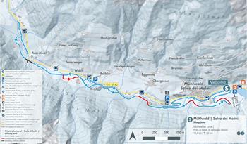 dns-muehlwald-selvadeimolini