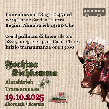 almabtrieb_ahornach2025_1-12