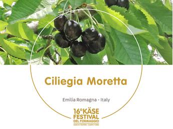 presidi-1920-x-1440px26