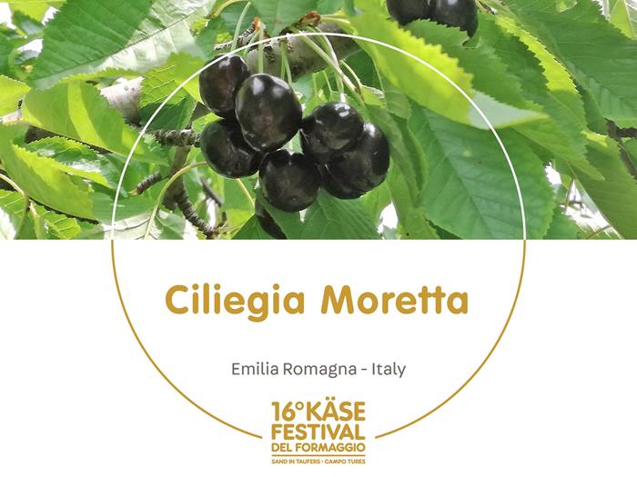 presidi-1920-x-1440px26