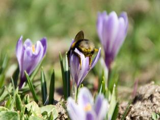 Weekly programme Spring