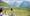 -wisthaler-com-20-08-tv-ahrntal-wander-hw7-8773
