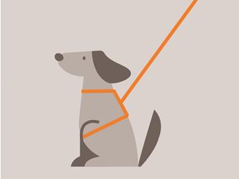 doginfo-illustrationen-zeichenflaeche-1