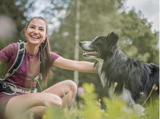 Dog-friendly accommodation