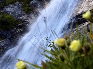 wasserfall-mit-blumen-gorfer
