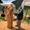 image00040