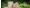 -www-wisthaler-com-13-07-graukaese-ahrntal-haw-8995