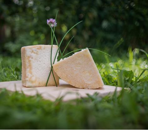 -www-wisthaler-com-13-07-graukaese-ahrntal-haw-8995