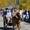almabtrieb-rein-c-tv-sand-m-steger-13