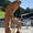hbhs-2022-177-tourismusverein-ahrntal