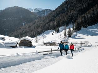 Winterwandern