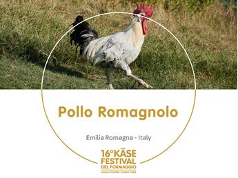 presidi-1920-x-1440px31