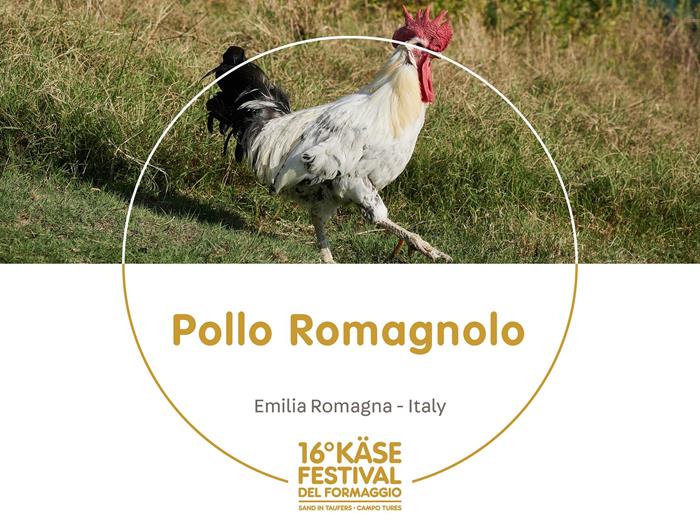 presidi-1920-x-1440px31