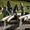 sommer-tvb-tauferer-ahrntal-hansi-heckmair-55