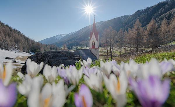 heilig-geist-kasern-krokus-fru-hling-tv-ahrntal-filippo-galluzzi