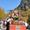 almabtrieb-rein-c-tv-sand-m-steger-27