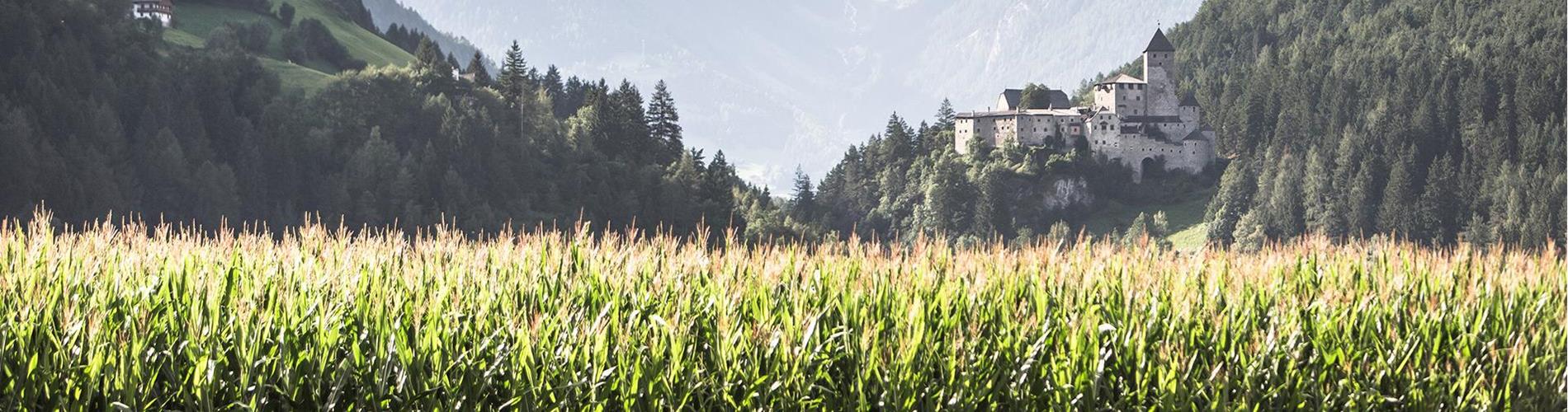 burgtaufers-c-manuel-kottersteger3[2]